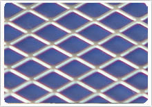 Expanded Netting Style C